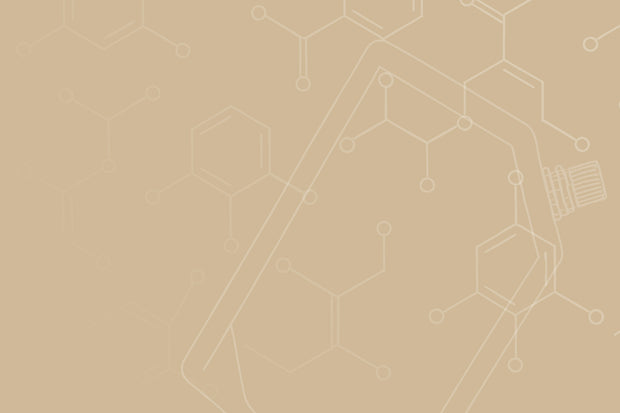 <h2><strong>Beutel</strong></h2><h3>Standbodenbeutel aus Mono-PP</h3>